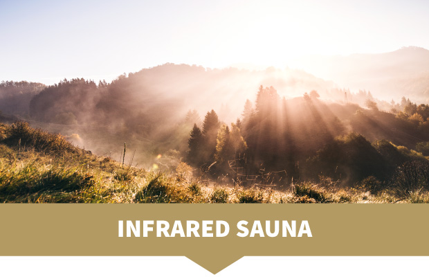 infrared-sauna-prices-1
